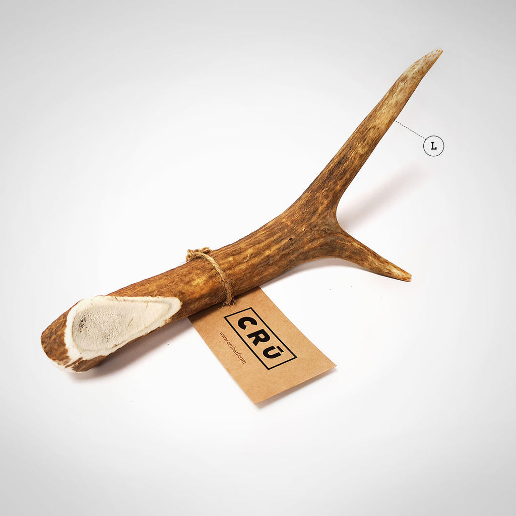 Juguete Mordedor de Asta de Ciervo para Perro