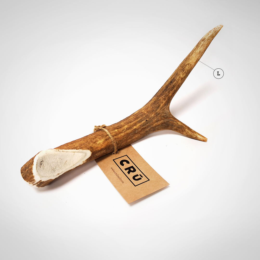 Juguete Mordedor de Asta de Ciervo para Perro