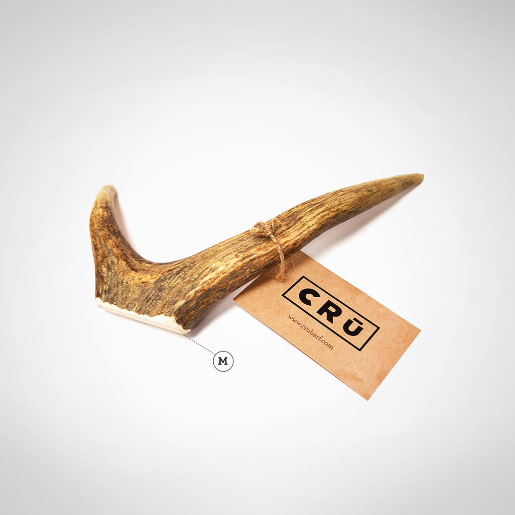 Juguete Mordedor de Asta de Ciervo para Perro