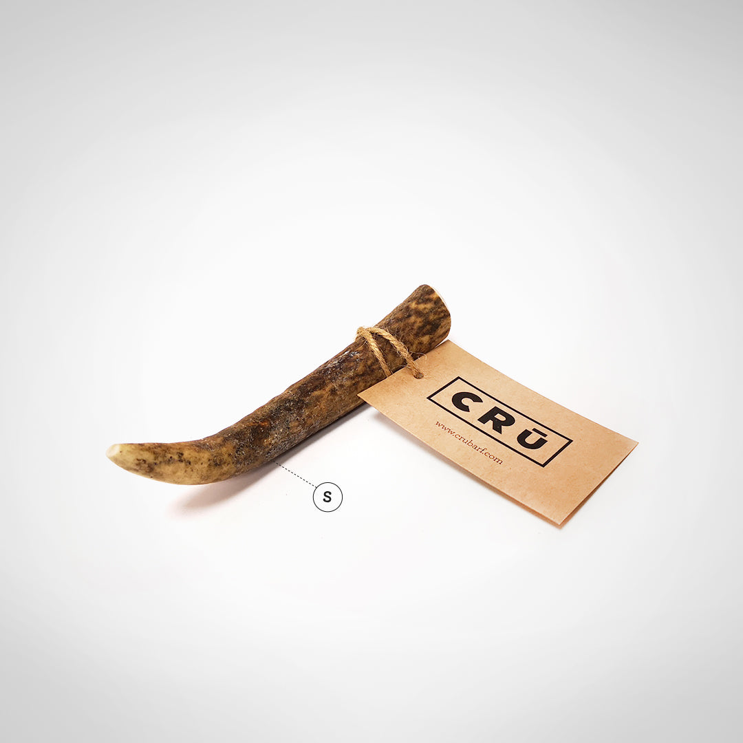 Juguete Mordedor de Asta de Ciervo para Perro