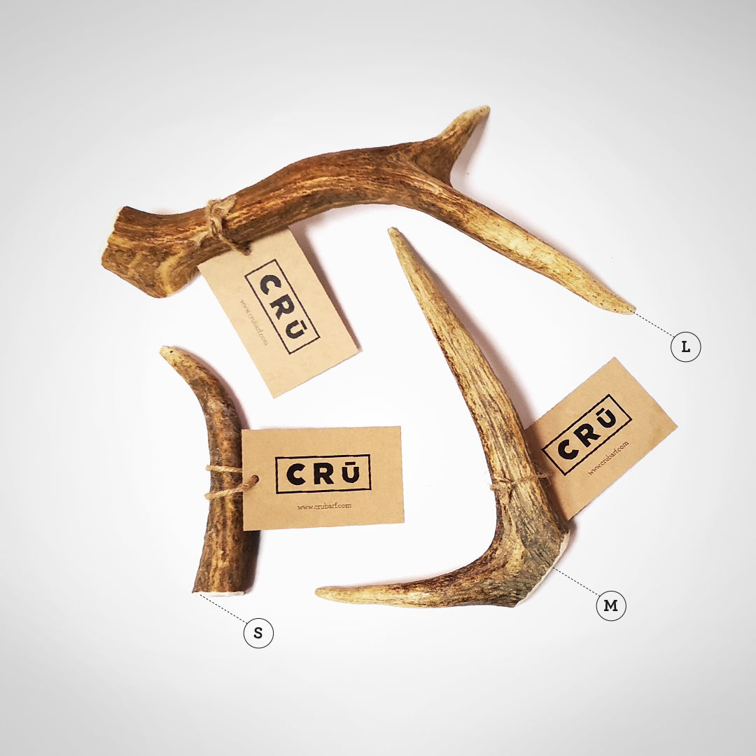 Juguete Mordedor de Asta de Ciervo para Perro