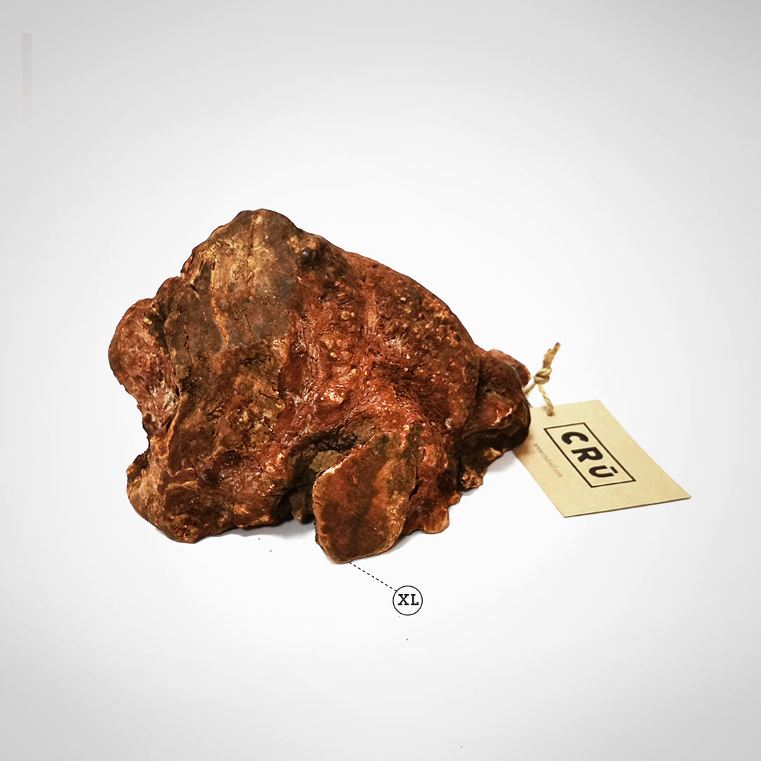 Juguete Mordedor 100% Natural de Raíz de Brezo para Perro