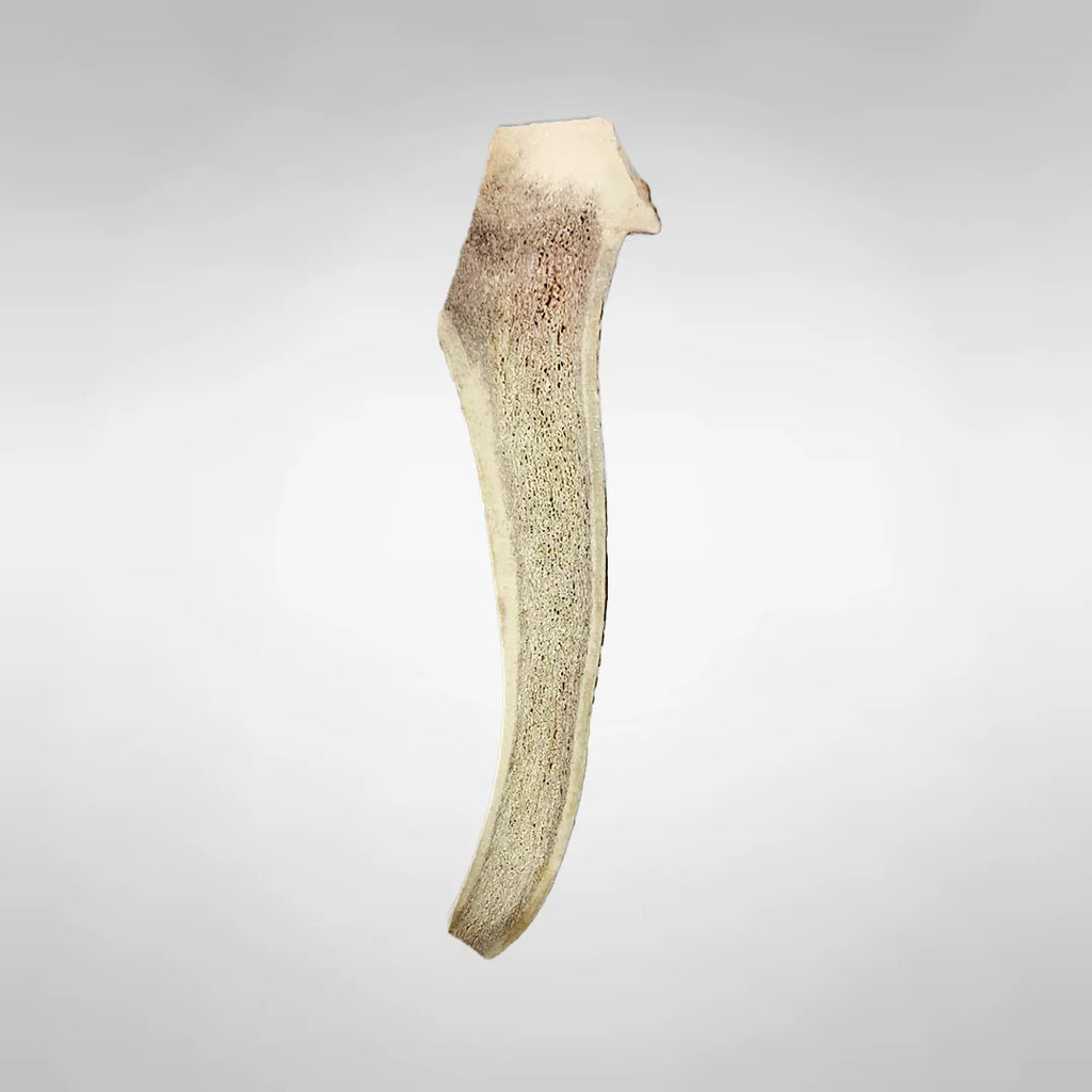 Juguete Mordedor de Asta de Ciervo para Perro