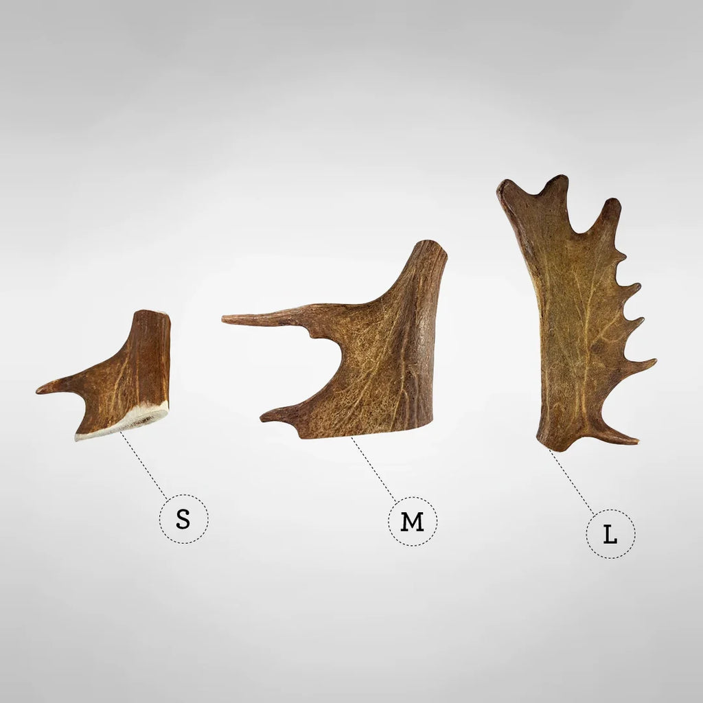 Juguete Mordedor de Asta de Gamo para Perro