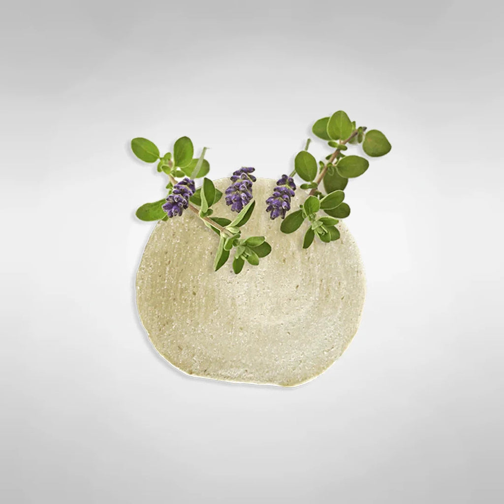 Champú Natural Antiparasitario y Alergias de Piel para Perro Gato Mascotas