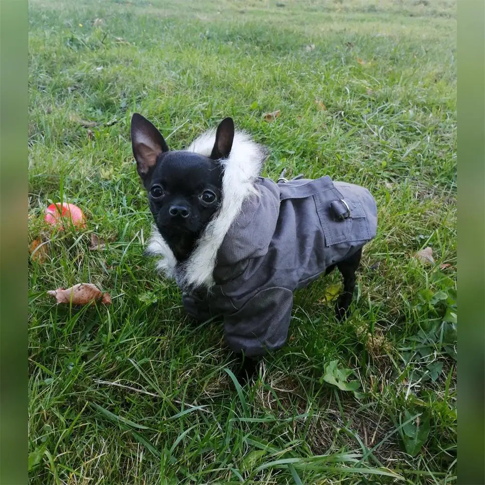 Ropa cálida para perros, de algodón, de Rusia, para invierno, gruesa, chaqueta, abrigo