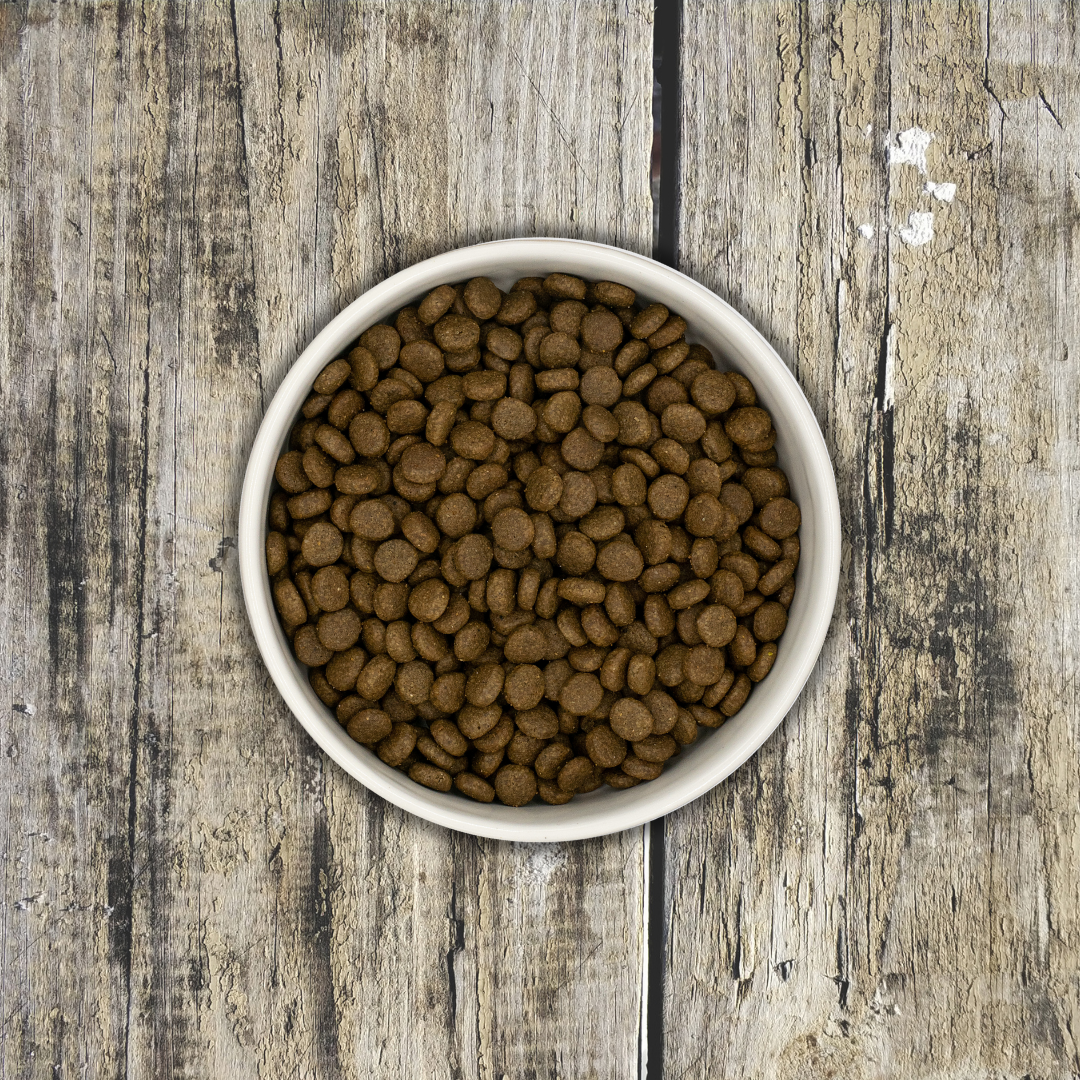 Pienso Gato de Salmón y Pescado Blanco 100% Natural 1,5 Kg Bienestar y Salud para tu Gato