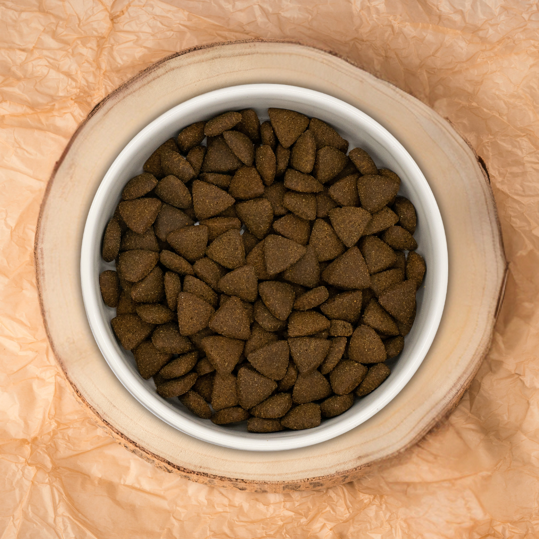 Pienso Perro Naturalmente Pavo de Corral con Super Alimentos - 6kg Pienso Seco Raza Mediana / Grande 6kg