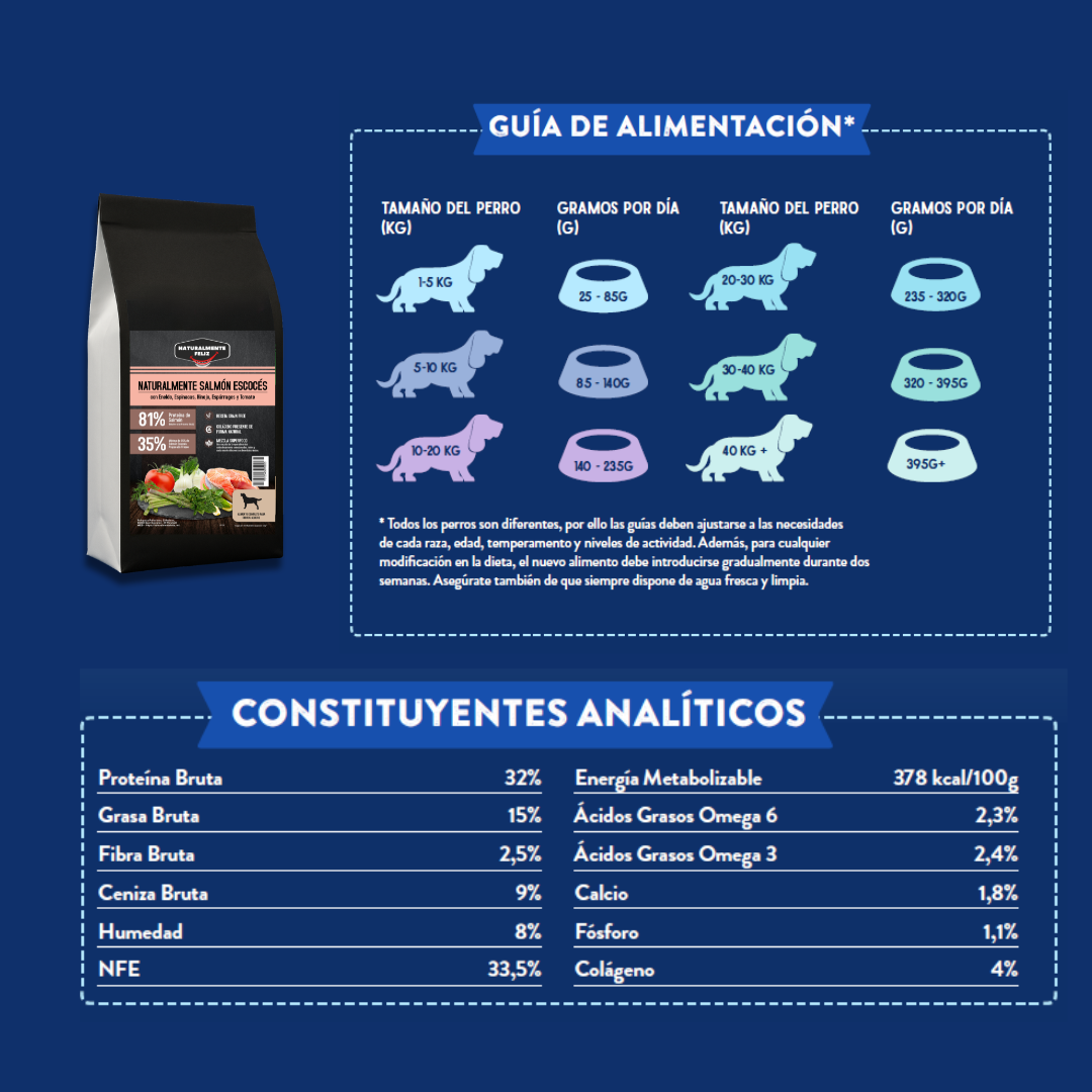 Pienso Perro Naturalmente Salmón Escocés con Super Alimentos - 6kg Pienso Seco Raza Mediana / Grande