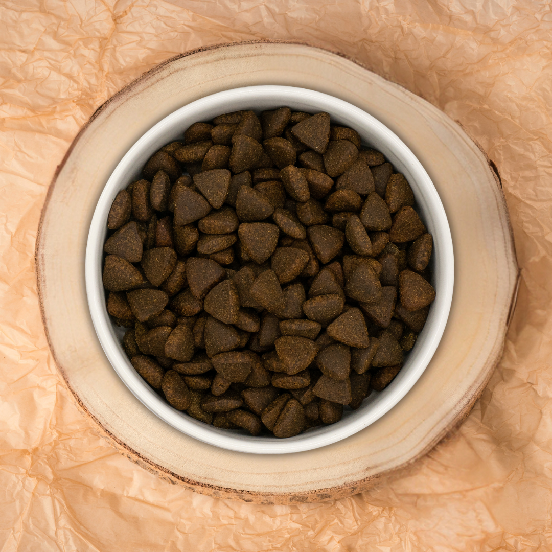 Pienso Perro Naturalmente Salmón Escocés con Super Alimentos - 6kg Pienso Seco Raza Mediana / Grande