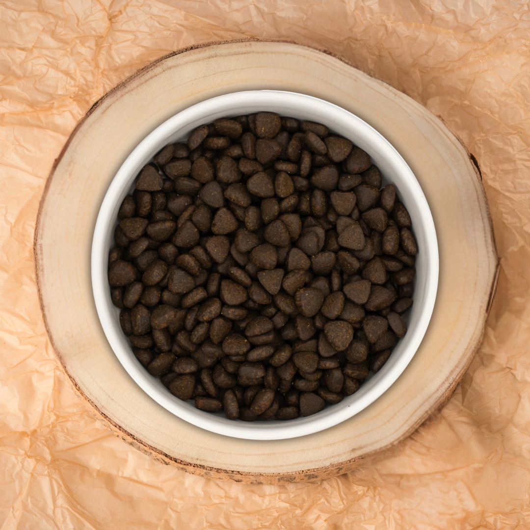 Pienso Perro Naturalmente Salmón Escocés con Super Alimentos - 2kg Pienso Seco Raza Pequeña