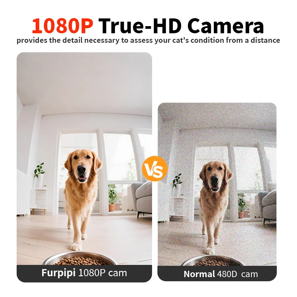 Dispensador automático de comida para gatos de 8 litros con cámara de vídeo 1080p, WiFi 5G, grabadora de voz inteligente para mascotas y aplicación Tuya.