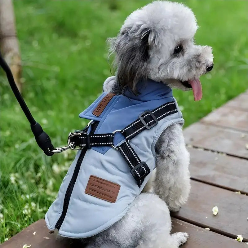 Abrigo para cachorros, chaqueta, ropa impermeable para perros, ropa para mascotas