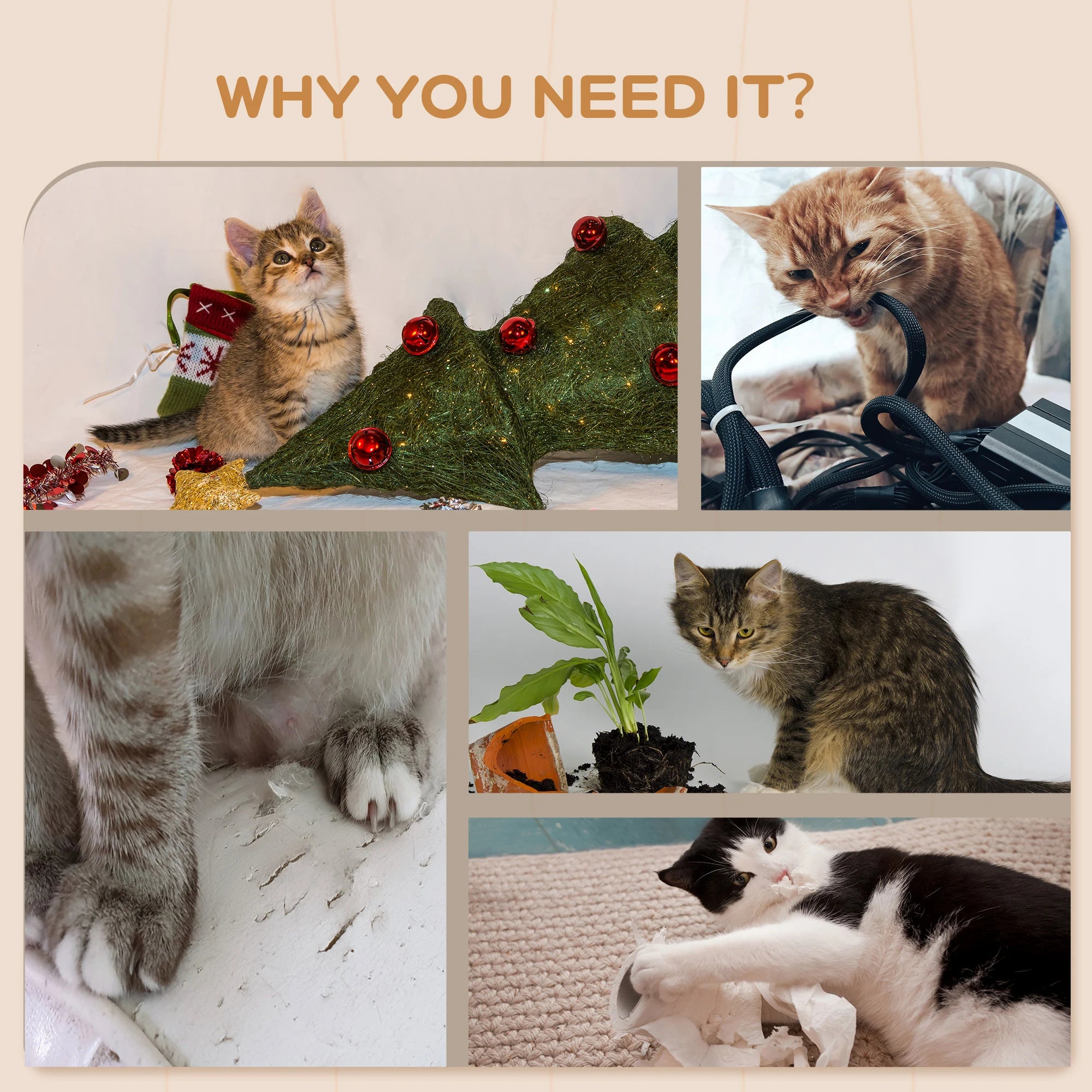 Conjunto de pared de 3 piezas para gatos