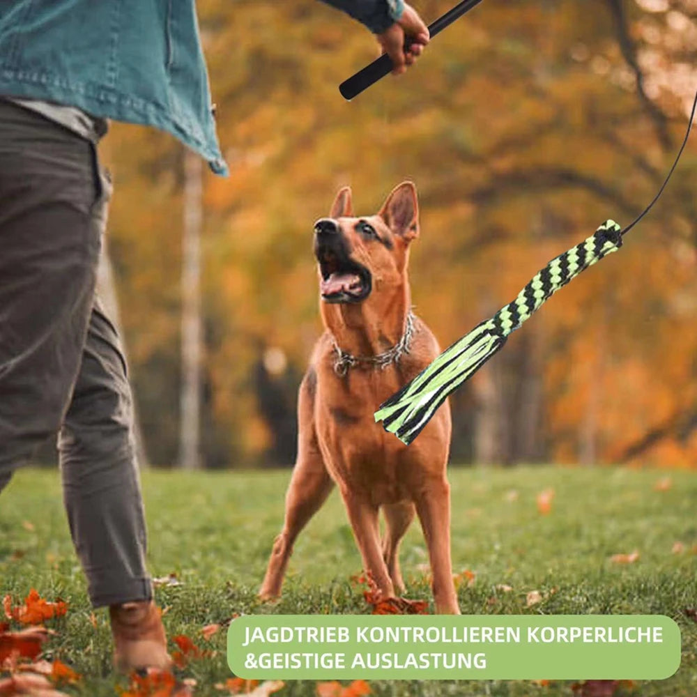 Juguete para rechinar los dientes para perros, resistente a las mordeduras, duradero, con recambio de felpa