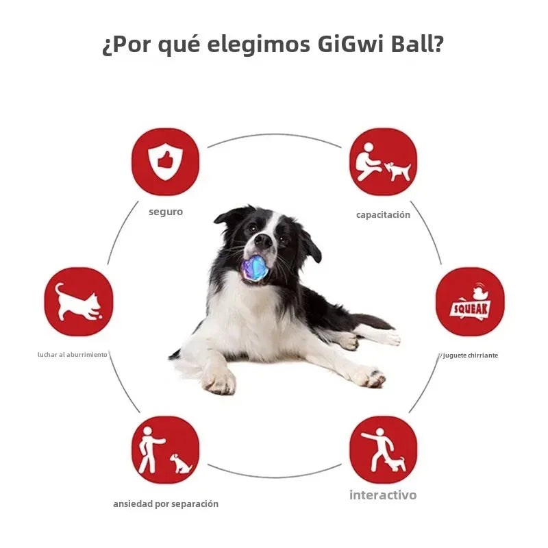 Pelota interactiva para perros Gigwi Pet Toys, serie G-Ball, con sonido, 6,35 cm (2,5"), para perros pequeños y medianos, rebota y viene en colores surtidos.