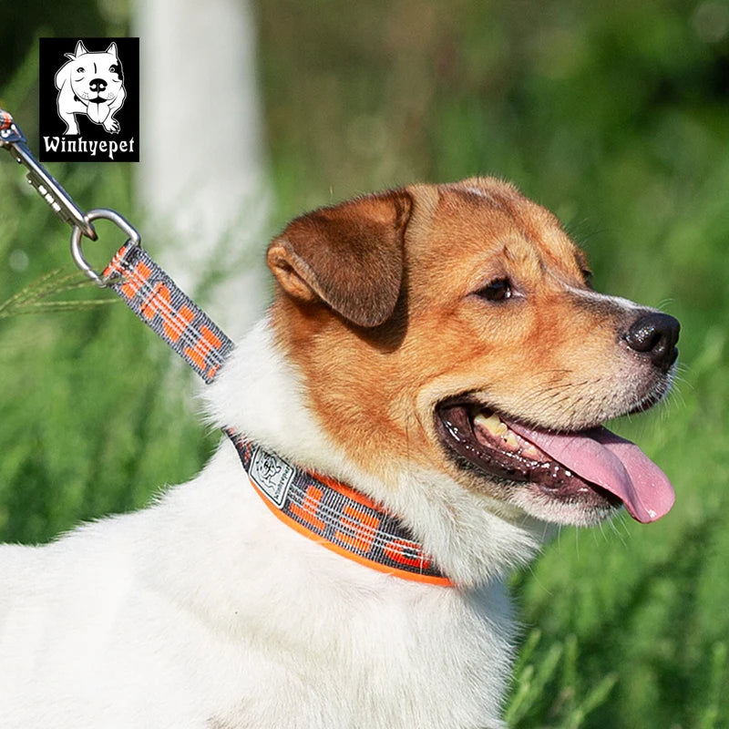 Truelove Pet Collar P Chain Reflective Nylon Neoprene Padded Half Choke Training Lightweight Washable Sports YC1852