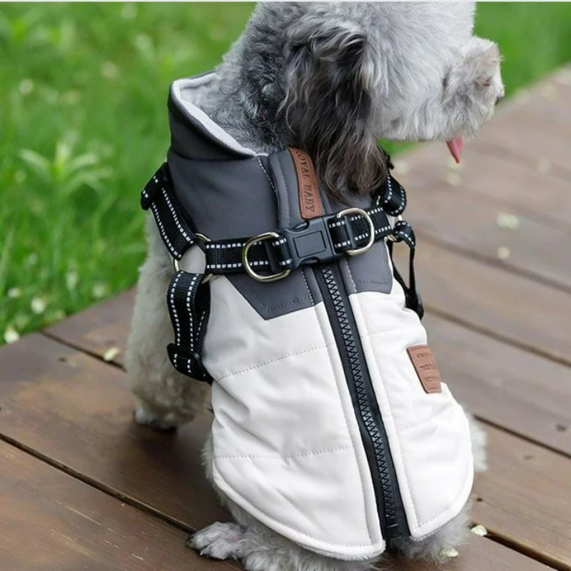 Abrigo para cachorros, chaqueta, ropa impermeable para perros, ropa para mascotas