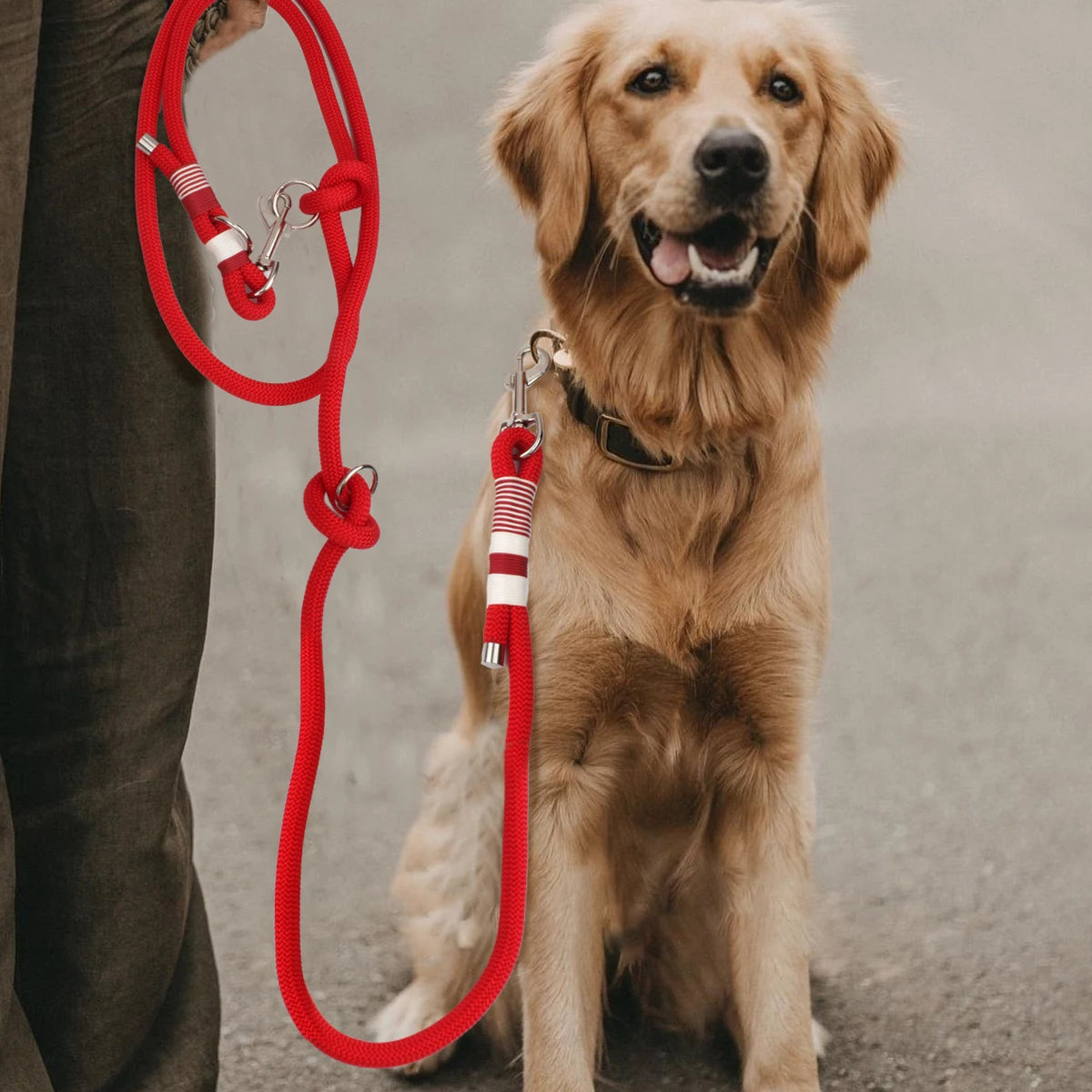 Correa trenzada de doble hebilla para perros, de color liso, multifuncional, tejida a mano, para paseos al aire libre con perros medianos y grandes.