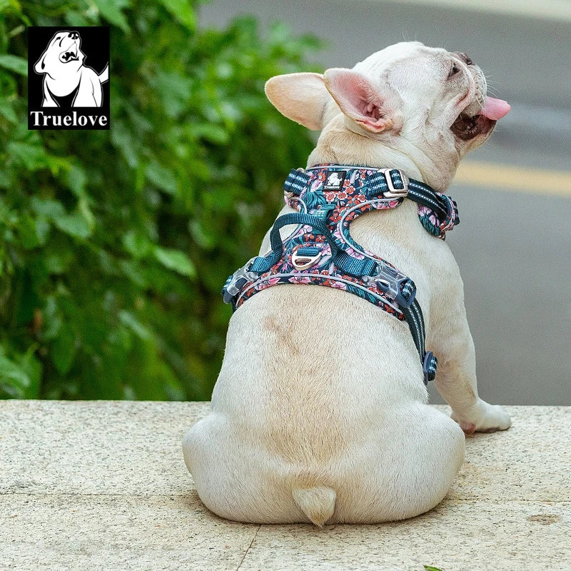 Arnés para mascotas Truelove, tallas pequeñas, medianas y grandes, dividido, para perros, moda para exteriores, dropshipping