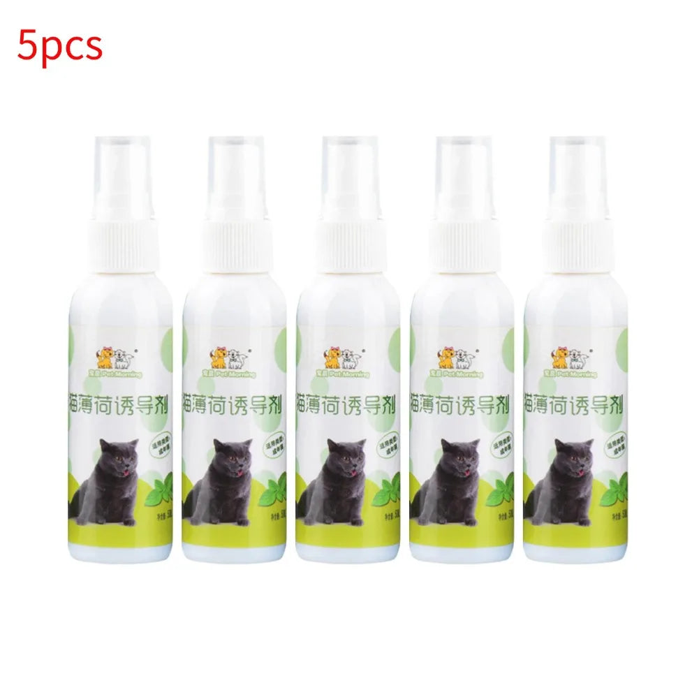 Catnip, menta gatera spray natural no toxico