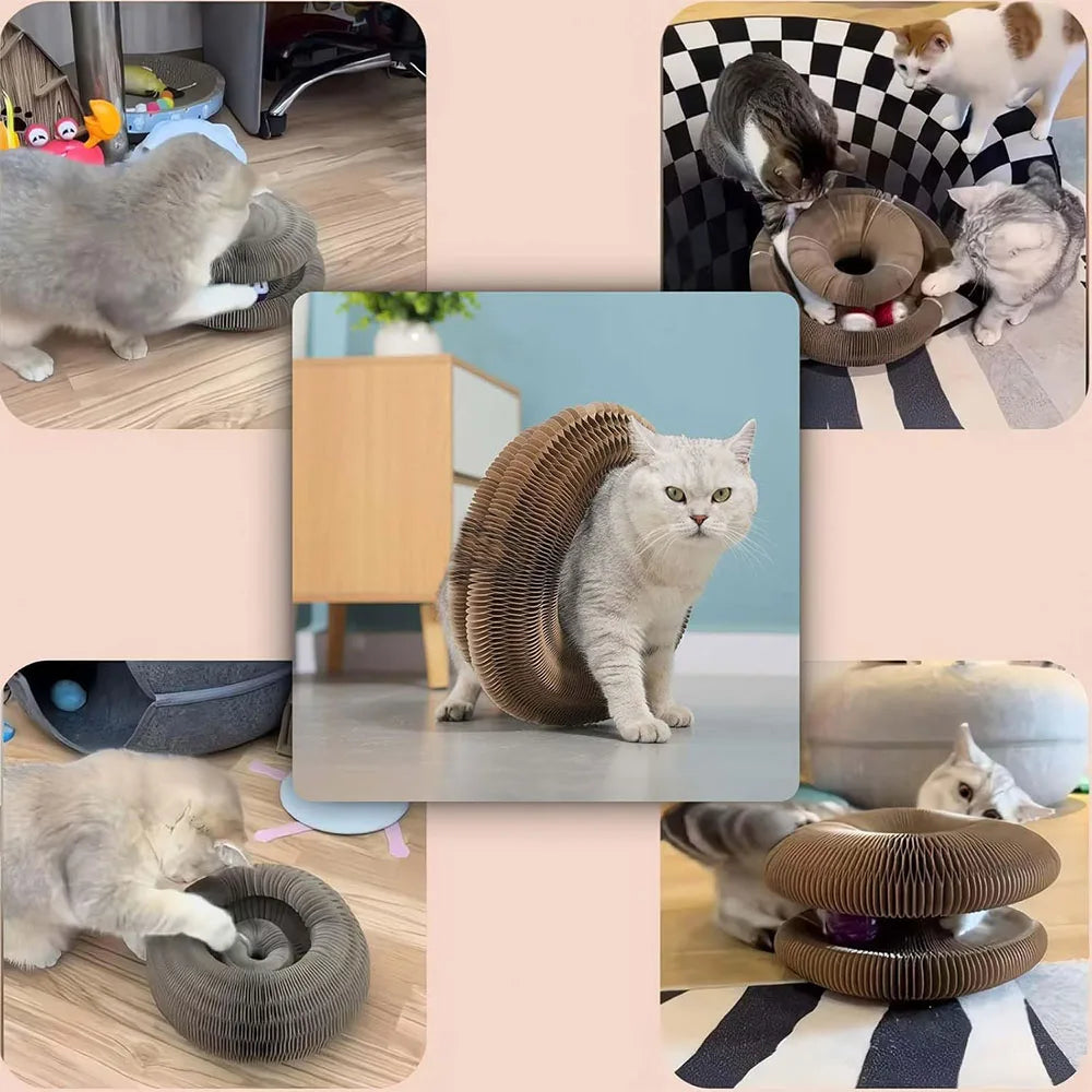 Rascador interactivo para gatos Magic Organ, juguete para gatos, accesorio para gatos