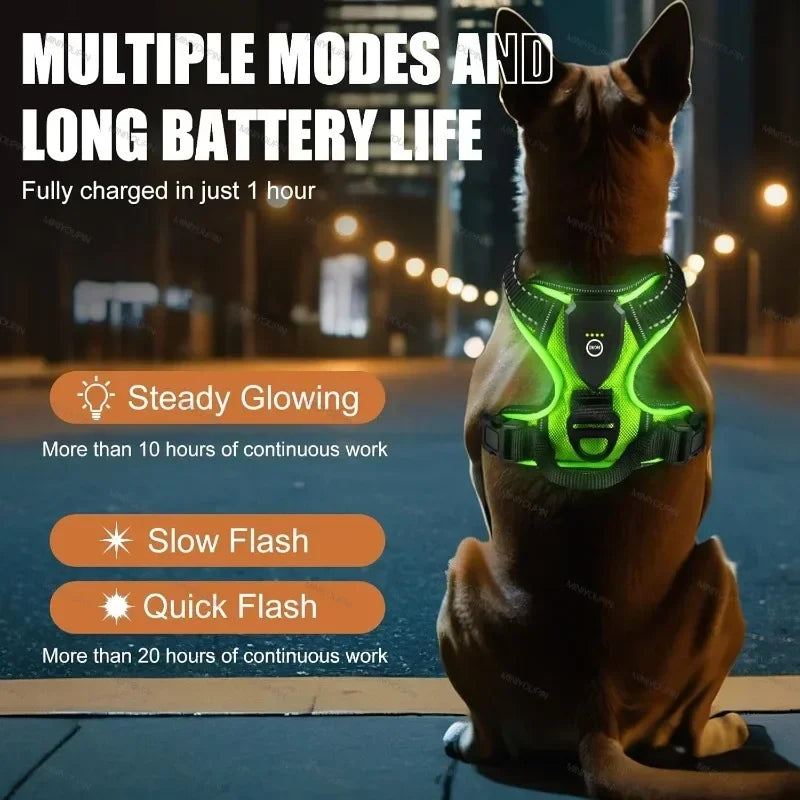Arnés luminoso LED para perros, ajustable, recargable, sin tirones, tipo chaleco para mascotas, para perros pequeños, medianos y grandes. Ideal para paseos al aire libre.