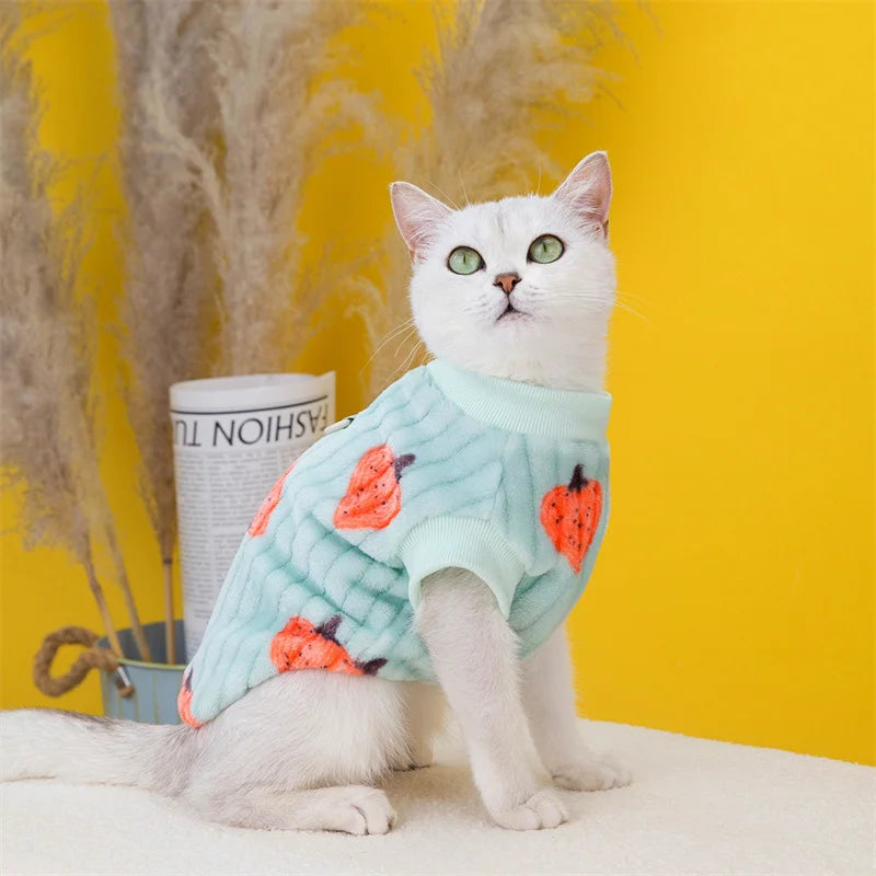 Suéter estilo coreano para gato esfinge con hebilla. Ropa de invierno cálida para mascotas.