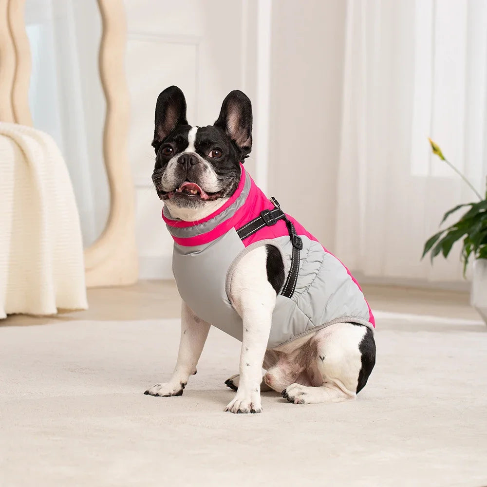 Chaqueta impermeable para mascotas con arnés, ropa de invierno cálida para perros pequeños y grandes, abrigo para labrador, chihuahua, bulldog francés