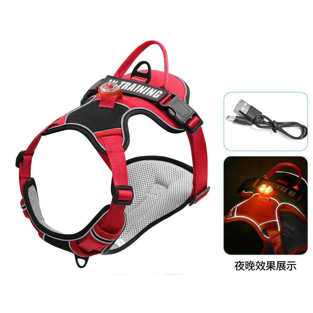 Arnés para perros con luz y carga USB. Chaleco con correa ajustable y transpirable