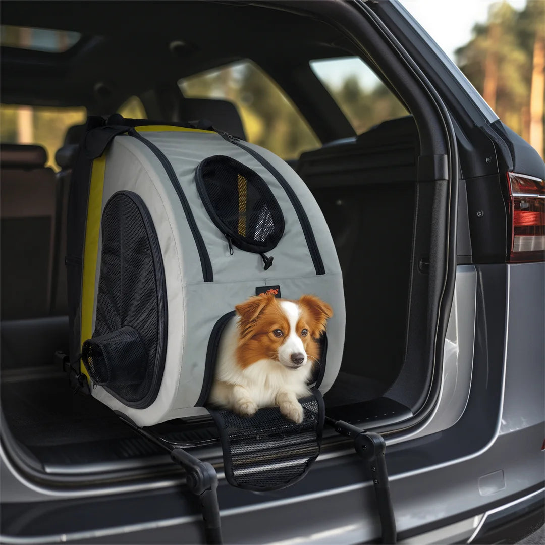 Cochecito de viaje portátil 2 en 1 para mascotas, silla de pase, asiento para coche, transportín, asa desmontable, convertible para perros pequeños y gatos.