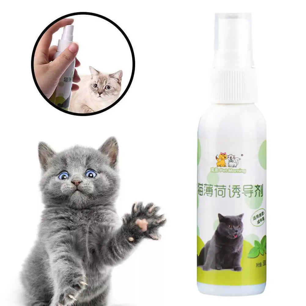 Catnip, menta gatera spray natural no toxico