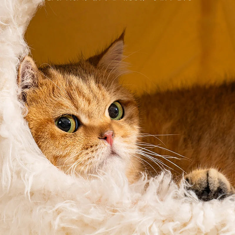 Casita para gatos muy suave, cama cómoda para un sueño profundo, camas cálidas de felpa para mascotas adecuadas para gatos y perros pequeños y medianos.