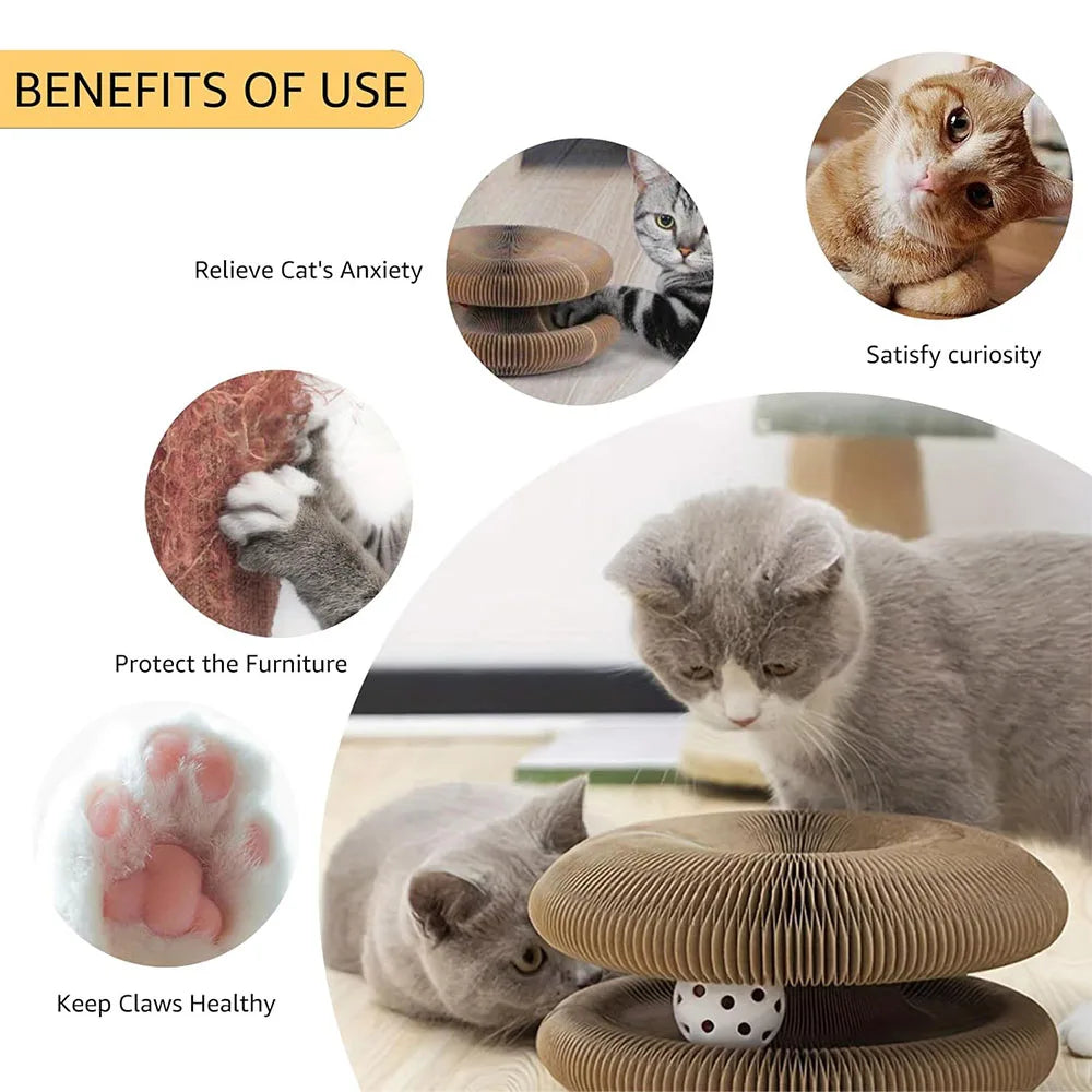 Rascador interactivo para gatos Magic Organ, juguete para gatos, accesorio para gatos