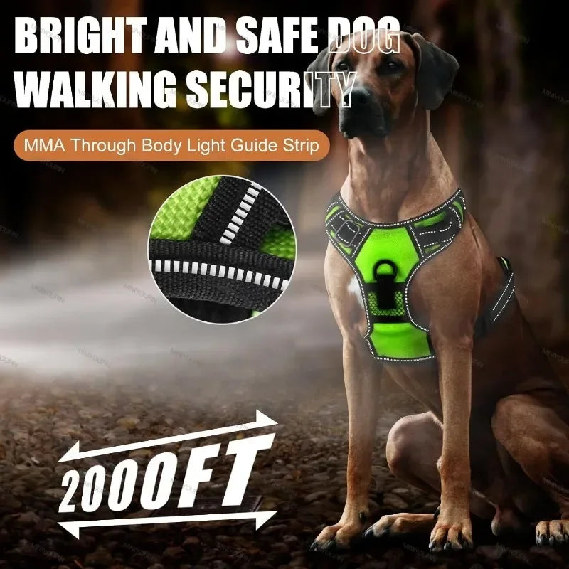 Arnés luminoso LED para perros, ajustable, recargable, sin tirones, tipo chaleco para mascotas, para perros pequeños, medianos y grandes. Ideal para paseos al aire libre.