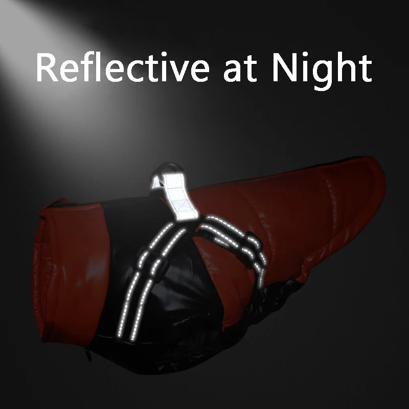 Chaqueta para perro con arnés, ropa de invierno cálida para perros pequeños y medianos, impermeable, para mascotas, disfraz para chihuahua y bulldog francés