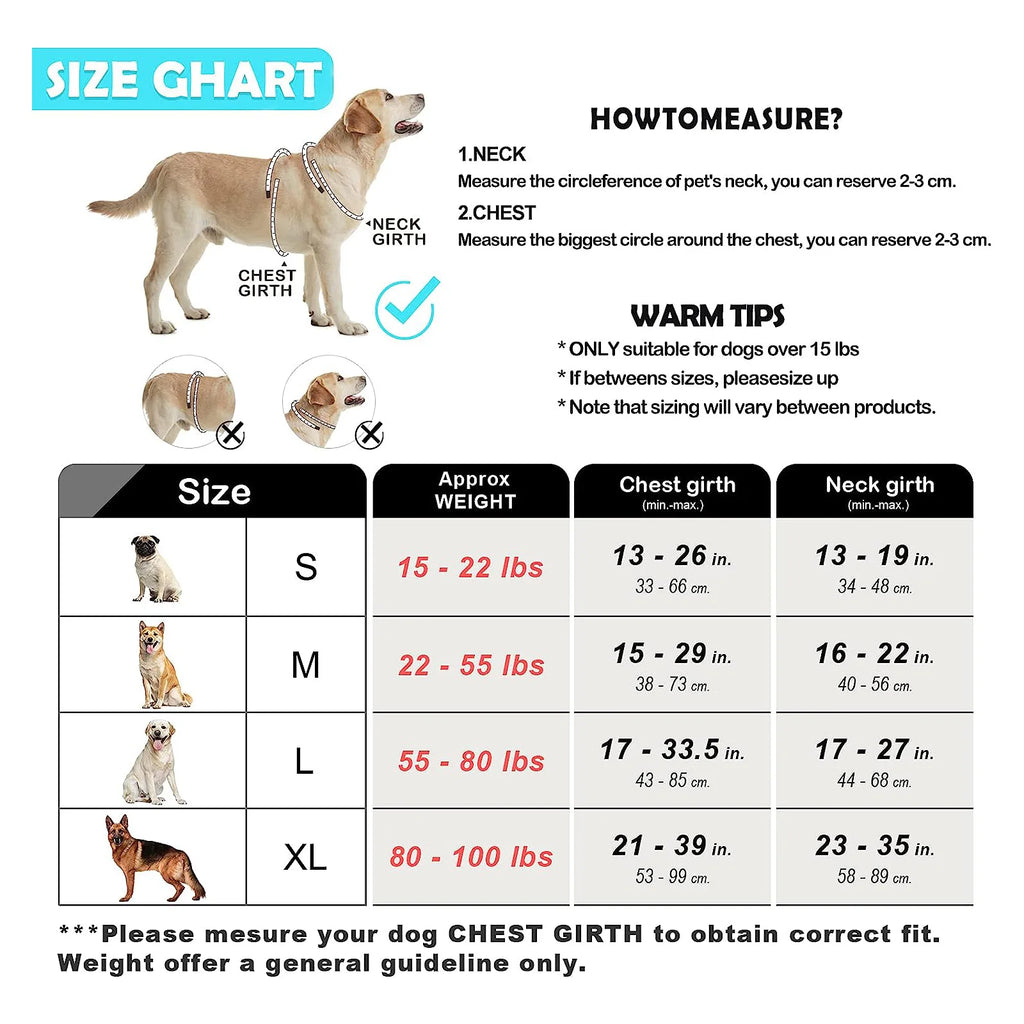 Conjunto de arnés y correa para perros, arnés tipo chaleco anti-tirones a prueba de escapes, con 1,5 metros