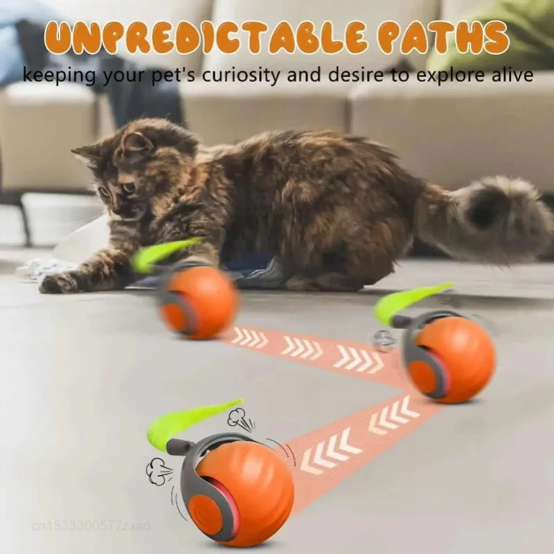 Pelota interactiva para gatos Xiaomi, automática, con cola pequeña y giratoria. Recargable por USB. Juguete portátil para estimular y entrenar a tu mascota.