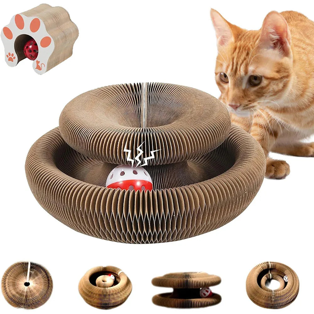 Rascador interactivo para gatos Magic Organ, juguete para gatos, accesorio para gatos