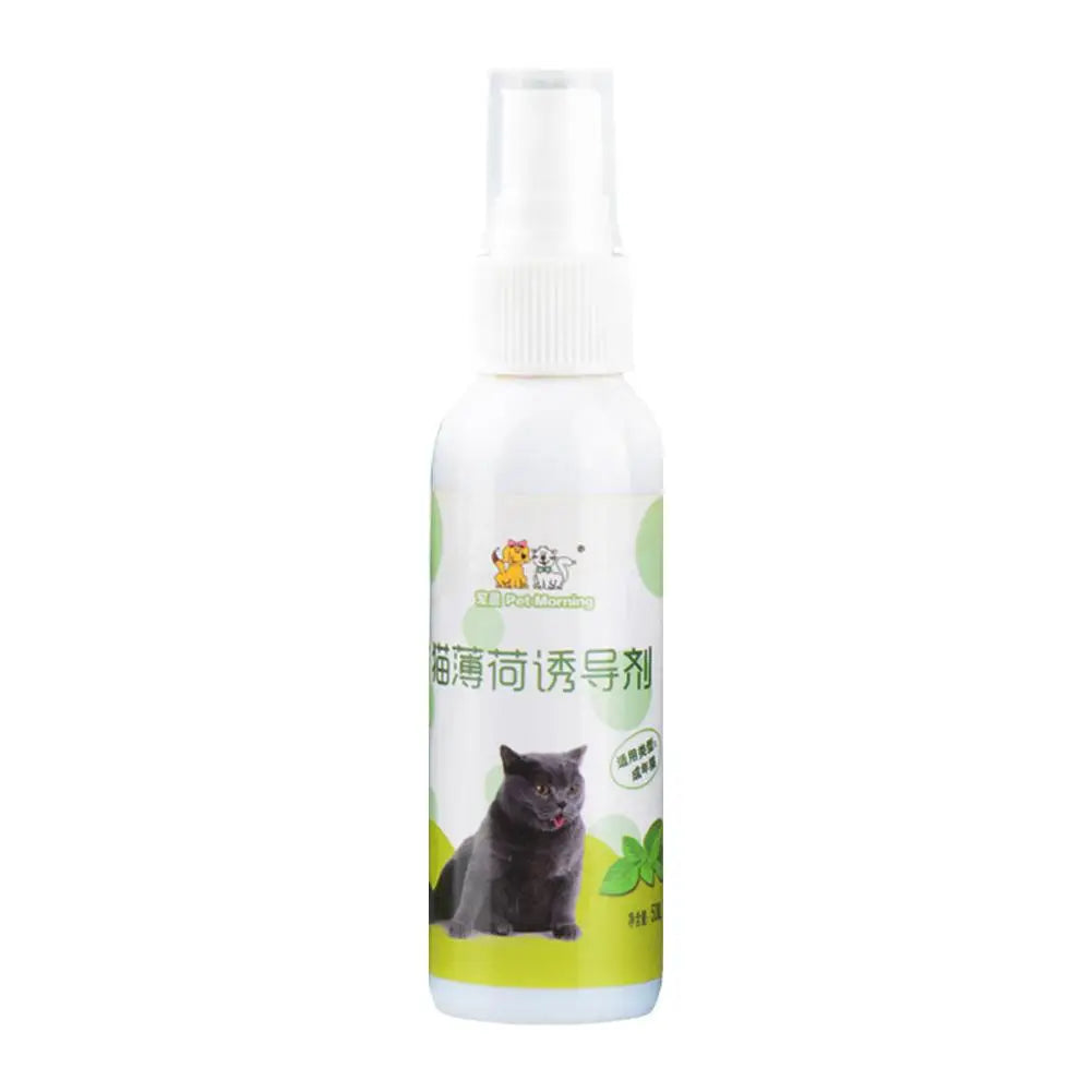 Catnip, menta gatera spray natural no toxico
