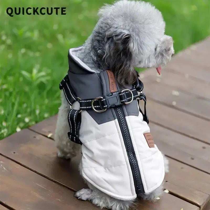Abrigo para cachorros, chaqueta, ropa impermeable para perros, ropa para mascotas