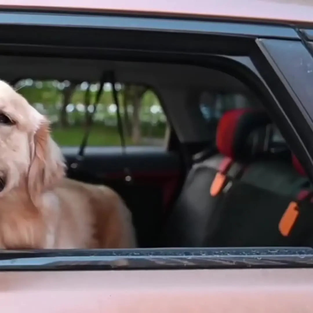 Cojín para asiento de coche para mascotas, asiento trasero, nido para perros pequeños, medianos y grandes, cojín antimanchas para asiento de coche, cojín aislante para coche