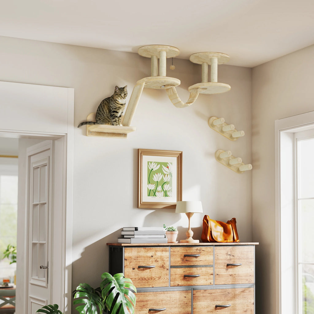 Conjunto de pared de 3 piezas para gatos