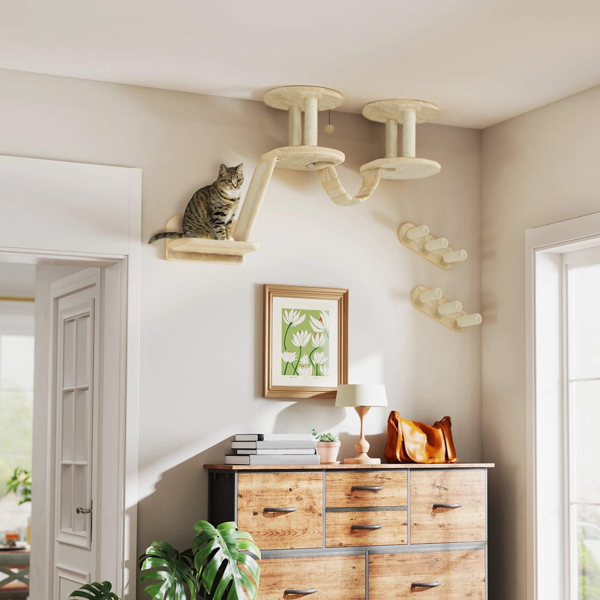 Conjunto de pared de 3 piezas para gatos