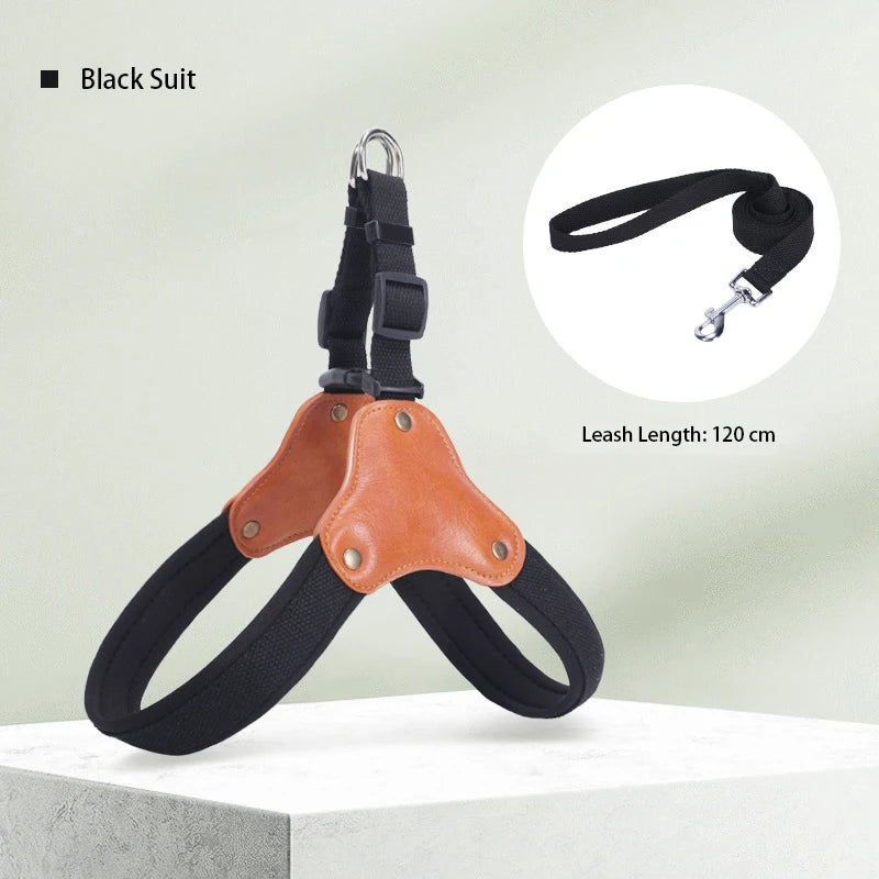 Arnes correa de pecho para perros medianos y grandes