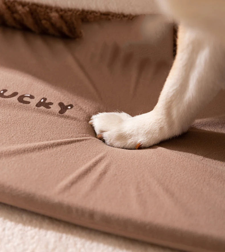 Casita adorable para mascotas con cama plegable y suave, castillo desmontable y lavable, ideal para perros pequeños y medianos y gatos.