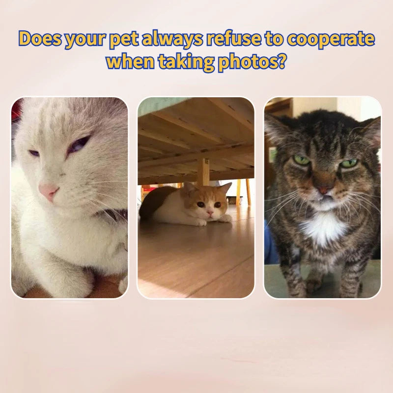 Palo selfie para mascotas, accesorio para selfies, juguetes para perros y gatos, clip para teléfono con cámara, toma fotos de tu mascota (perro o gato) y accesorios.