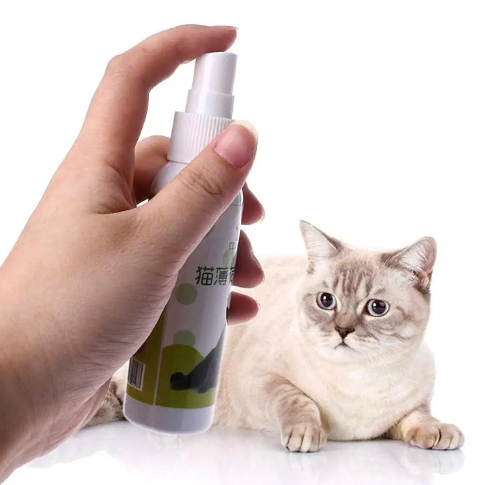 Catnip, menta gatera spray natural no toxico