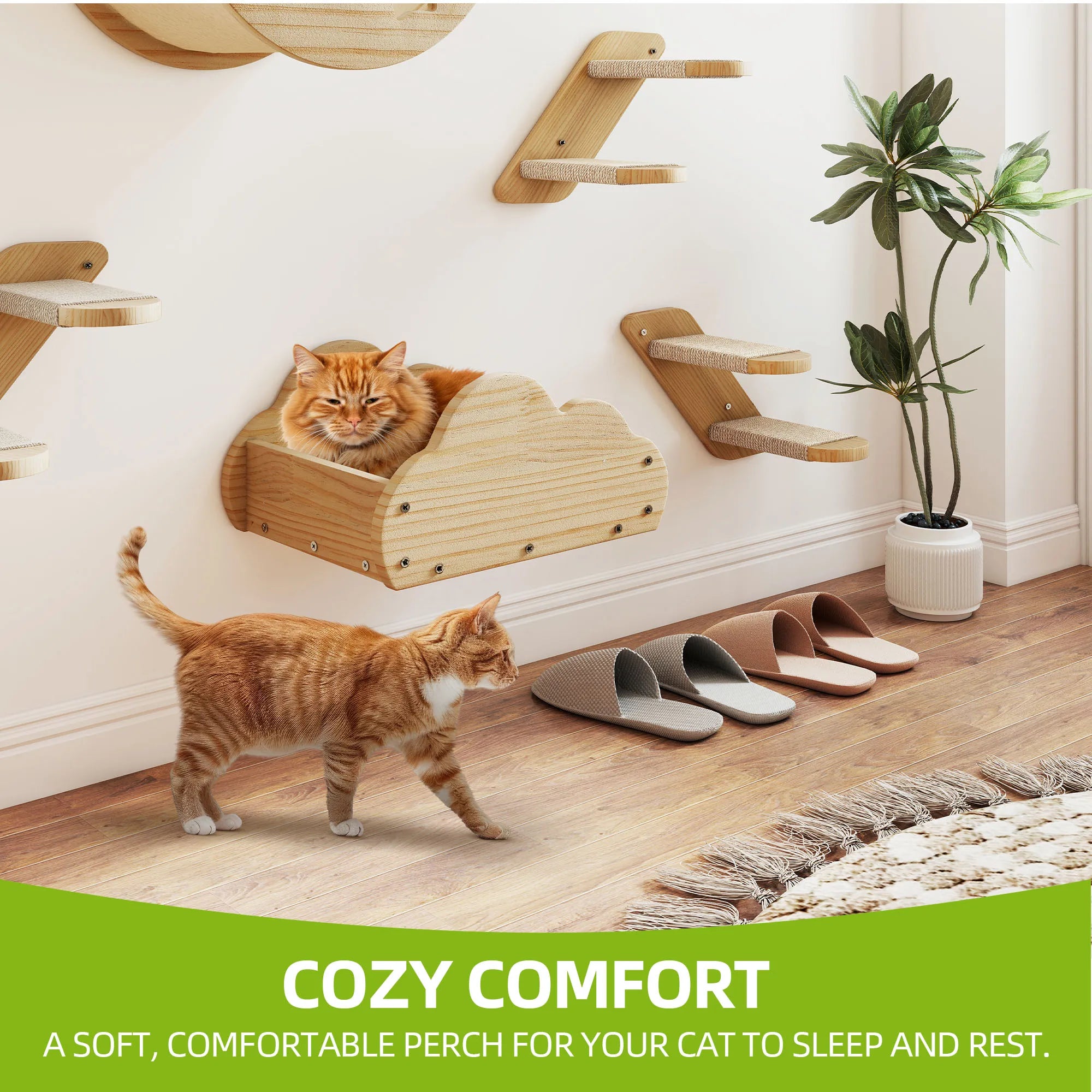 Juego de 6 piezas de pared para gato