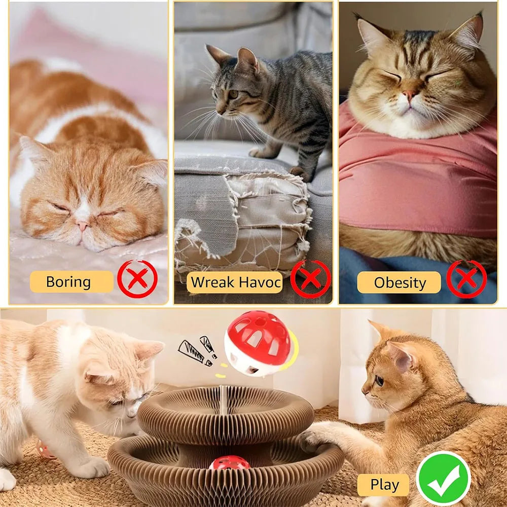 Rascador interactivo para gatos Magic Organ, juguete para gatos, accesorio para gatos